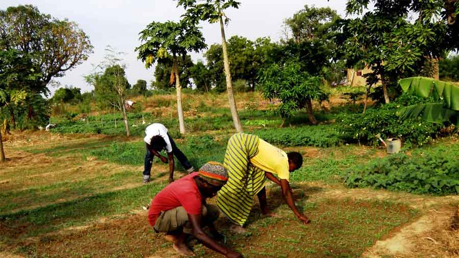 Ambiente e Agricoltura